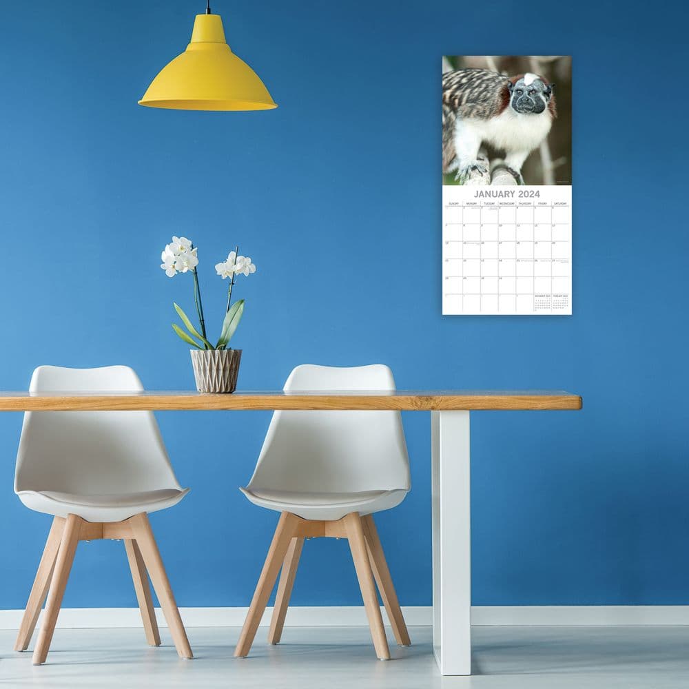 Monkey Business 2025 Wall Calendar