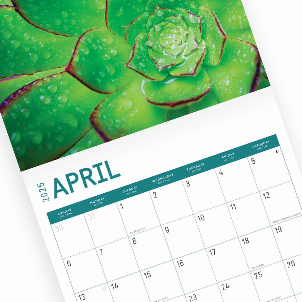 Succulents 2025 Wall Calendar Sixth Alternate Image