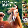 image Horses 365 Days 2024 Wall Calendar Main Image
