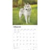 image Siberian Huskies 2025 Wall Calendar Second Alternate Image width=&quot;1000&quot; height=&quot;1000&quot;