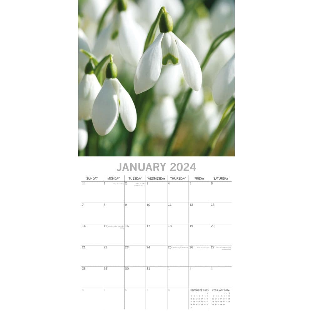 Beauty Of Flowers 2024 Wall Calendar Calendars Com   96f6d4ad 6b3b 431d 80ed 0225b4f77c79