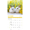 image Rabbits 2025 Wall Calendar Fourth Alternate Image width=&quot;1000&quot; height=&quot;1000&quot;