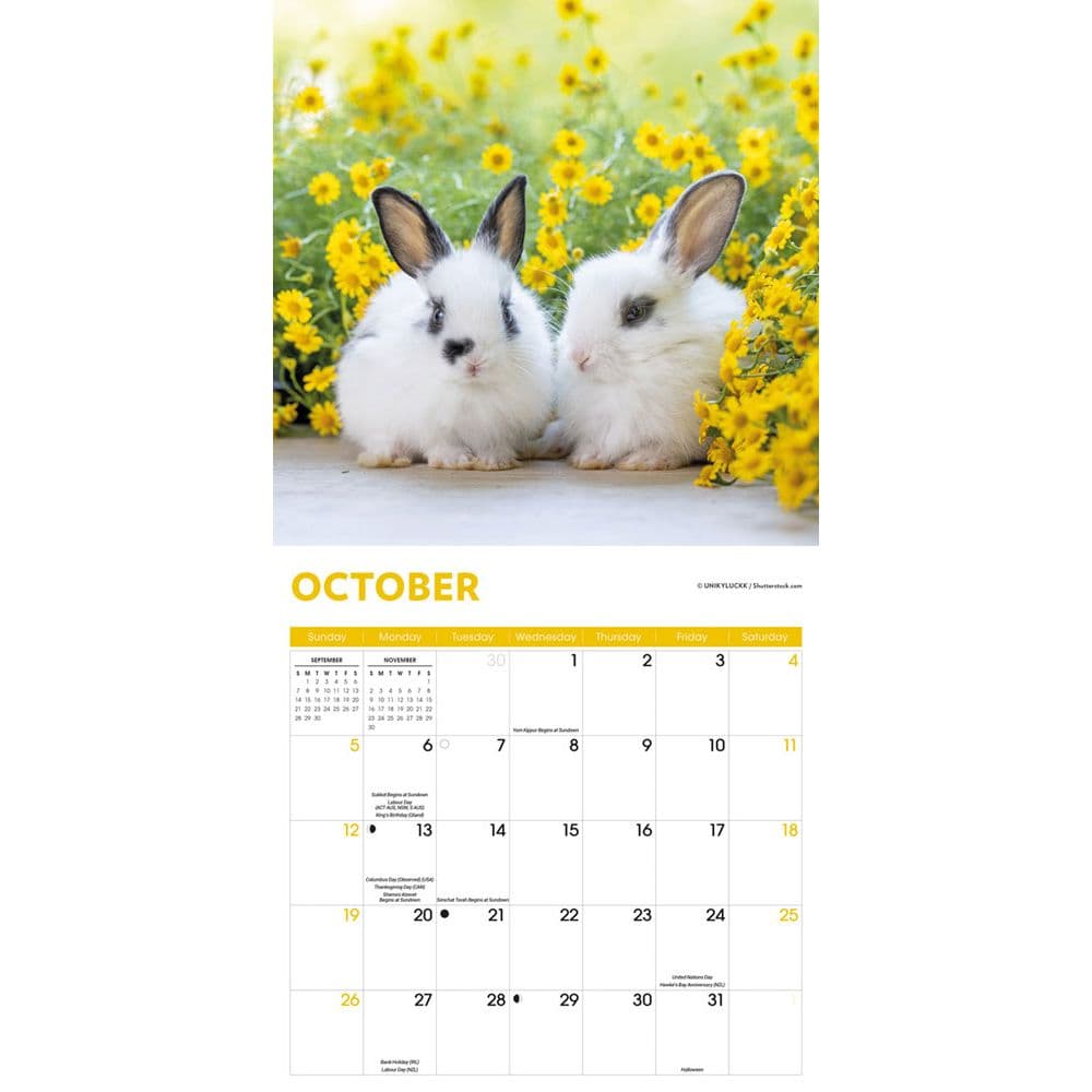 Rabbits 2025 Wall Calendar Fourth Alternate Image width=&quot;1000&quot; height=&quot;1000&quot;