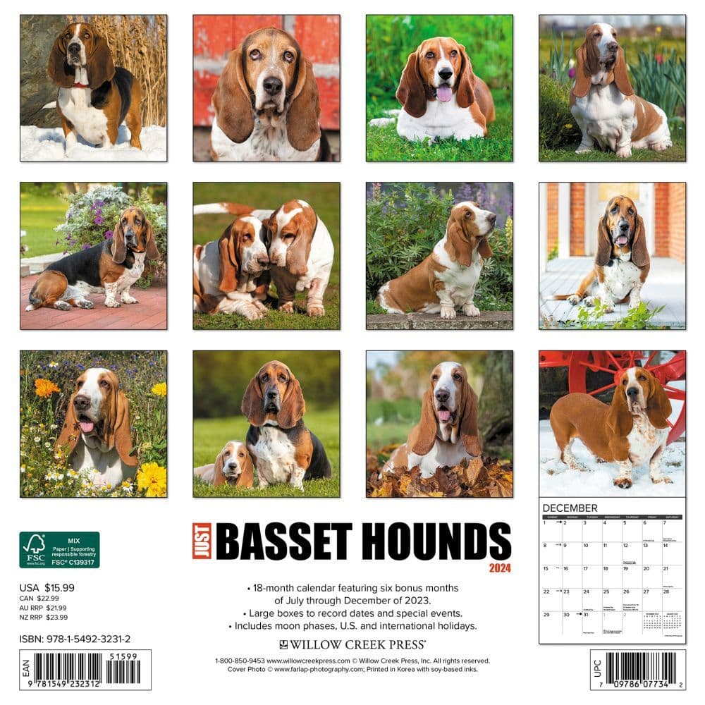 Just Basset Hounds 2024 Wall Calendar