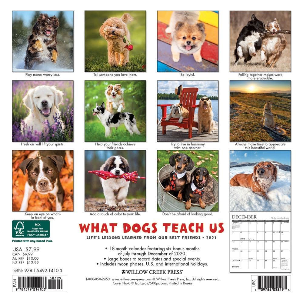 What Dogs Teach Us Mini Wall Calendar