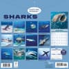 image Shark Year 2026 Wall Calendar First Alternate Image