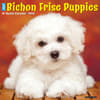 image Just Bichon Frises Puppies 2025 Wall Calendar Main Image