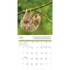 image Sloths 2025 Mini Wall Calendar Third Alternate Image width="1000" height="1000"