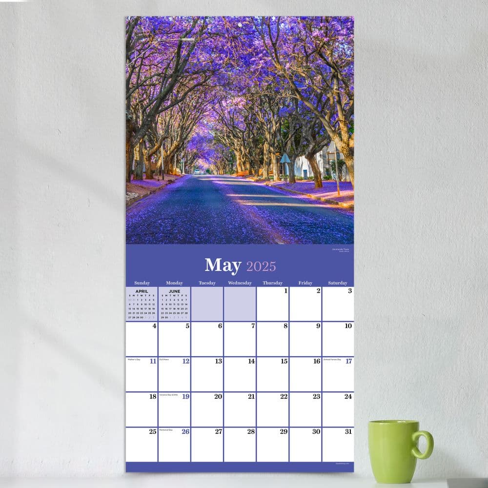 Trees 2025 Wall Calendar Alt3