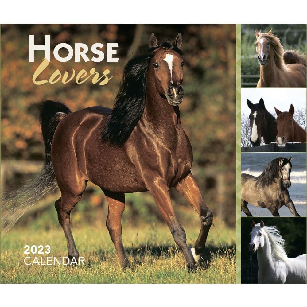 BrownTrout Horse Lovers 2023 Desk Calendar