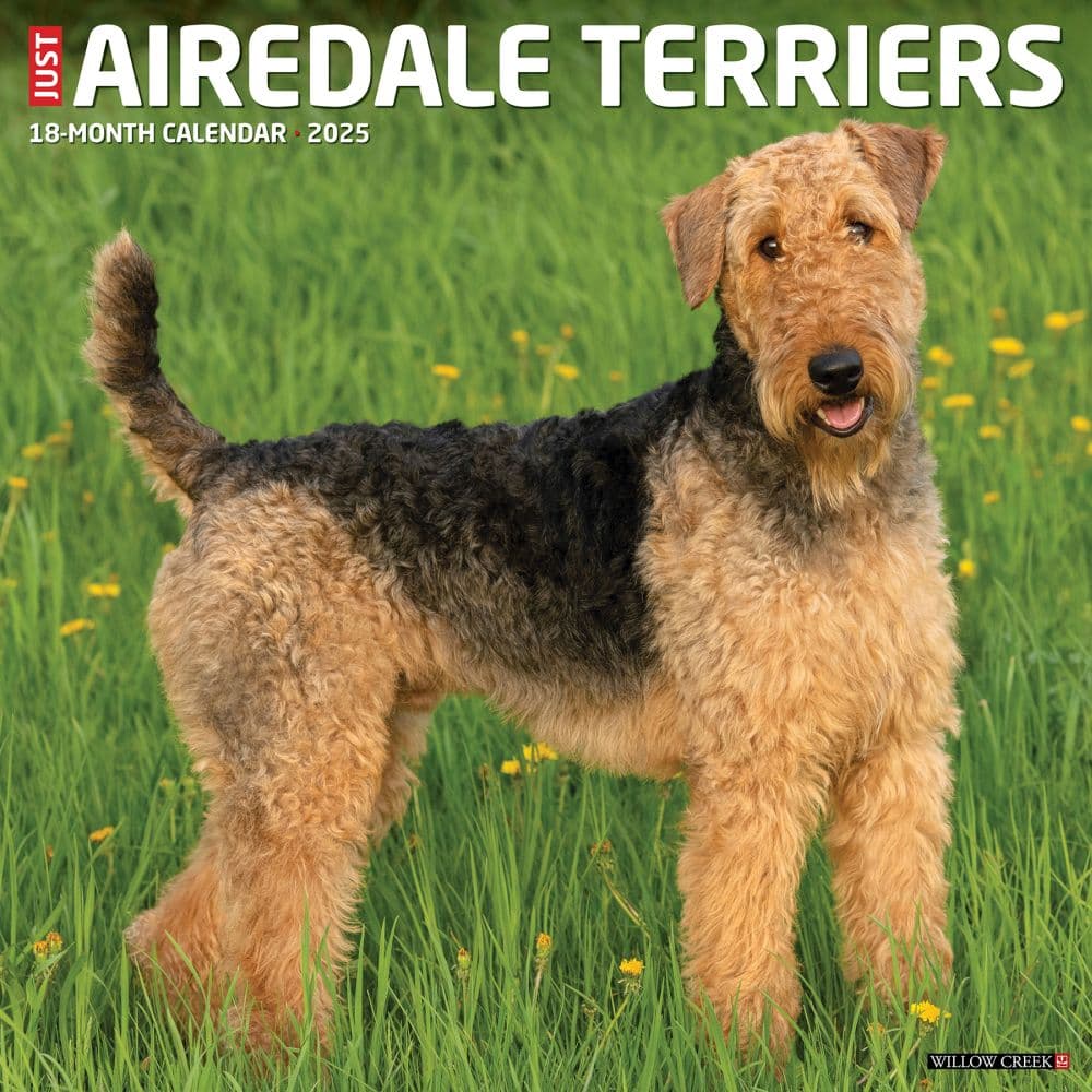 Just Airedale Terriers 2025 Wall Calendar Main Image