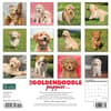 image Just Goldendoodle Puppies 2024 Wall Calendar Alternate Image 1