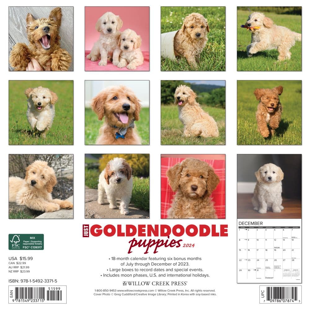 Just Goldendoodle Puppies 2024 Wall Calendar Alternate Image 1