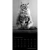 image Cat Regal Portrait Series 2024 Wall Calendar Second Alternate Image width=&quot;1000&quot; height=&quot;1000&quot;
