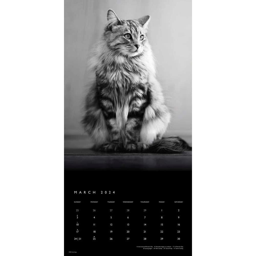 Cat Regal Portrait Series 2024 Wall Calendar Second Alternate Image width=&quot;1000&quot; height=&quot;1000&quot;