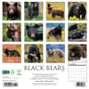 image Black Bears 2025 Wall Calendar