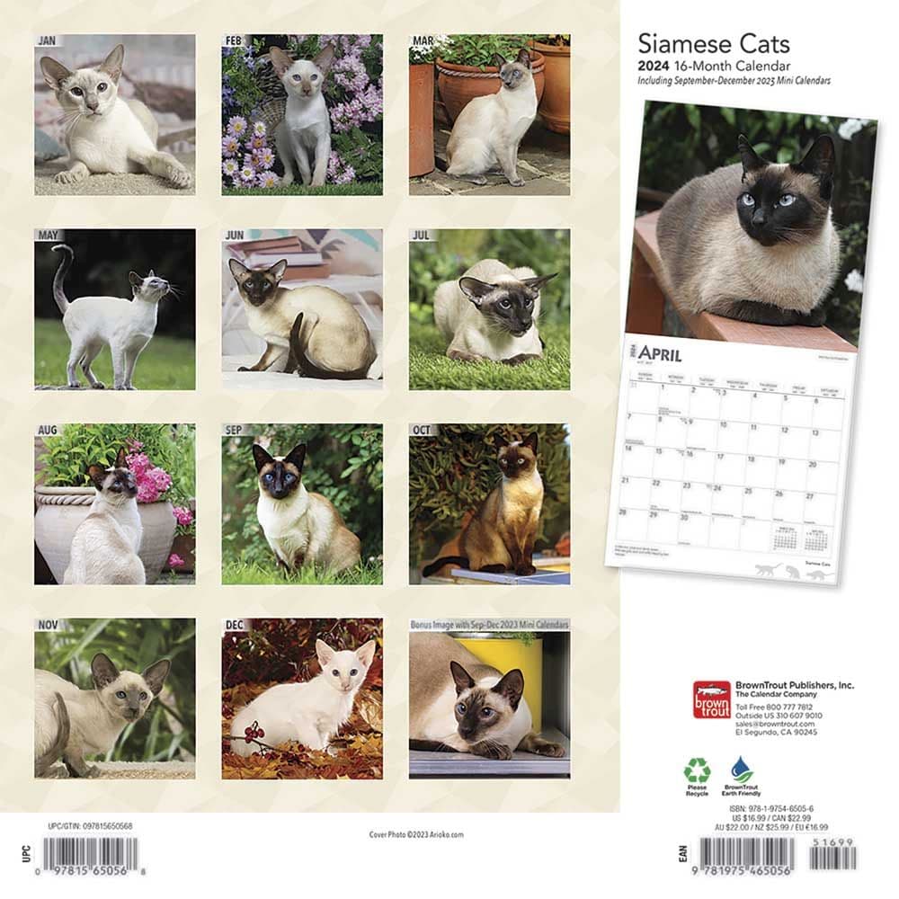 Cats Siamese 2024 Wall Calendar