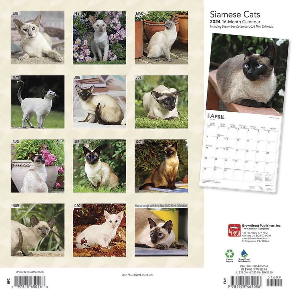Cats Siamese 2024 Wall Calendar First Alternate Image width=&quot;1000&quot; height=&quot;1000&quot;