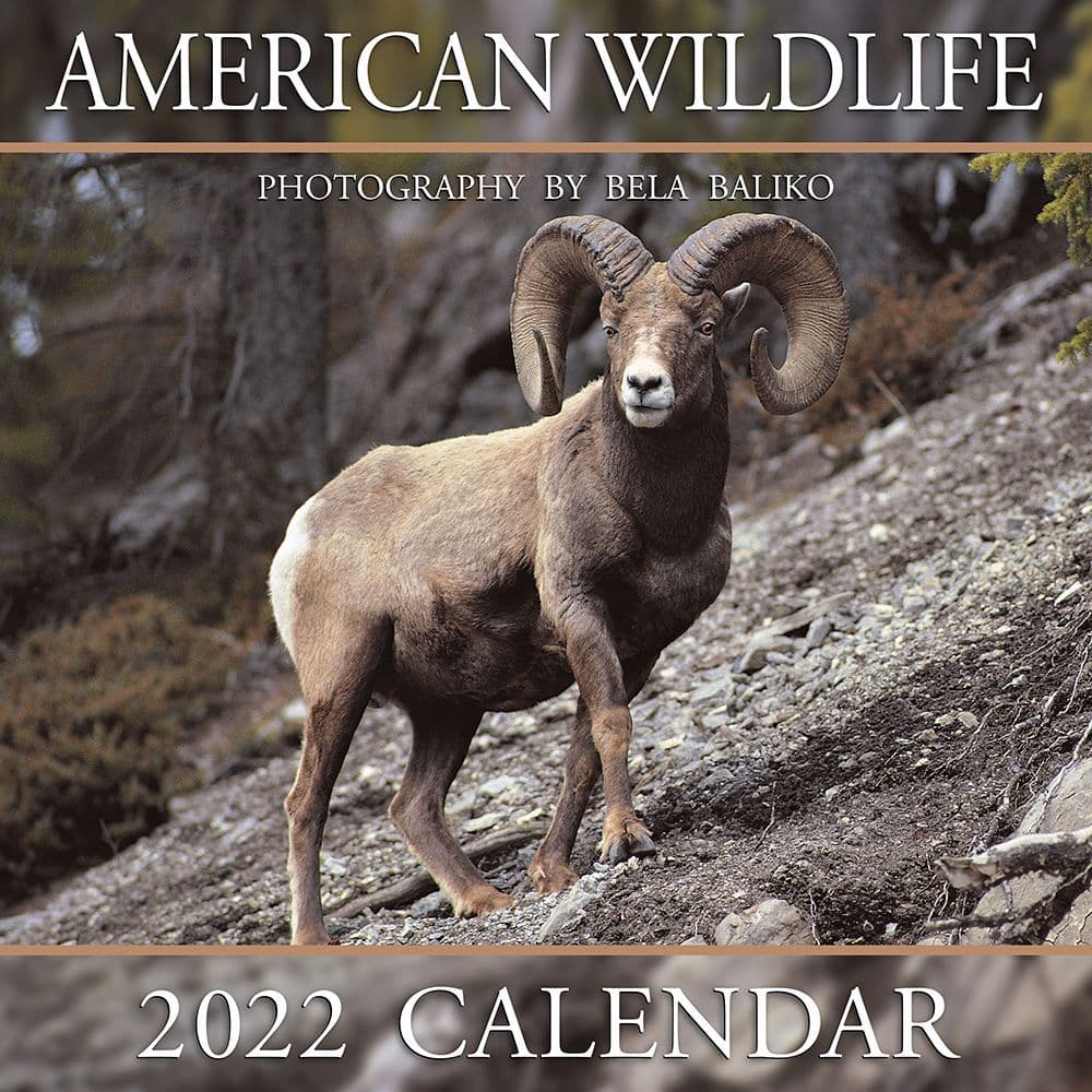 21 Best Wildlife Calendars 2022