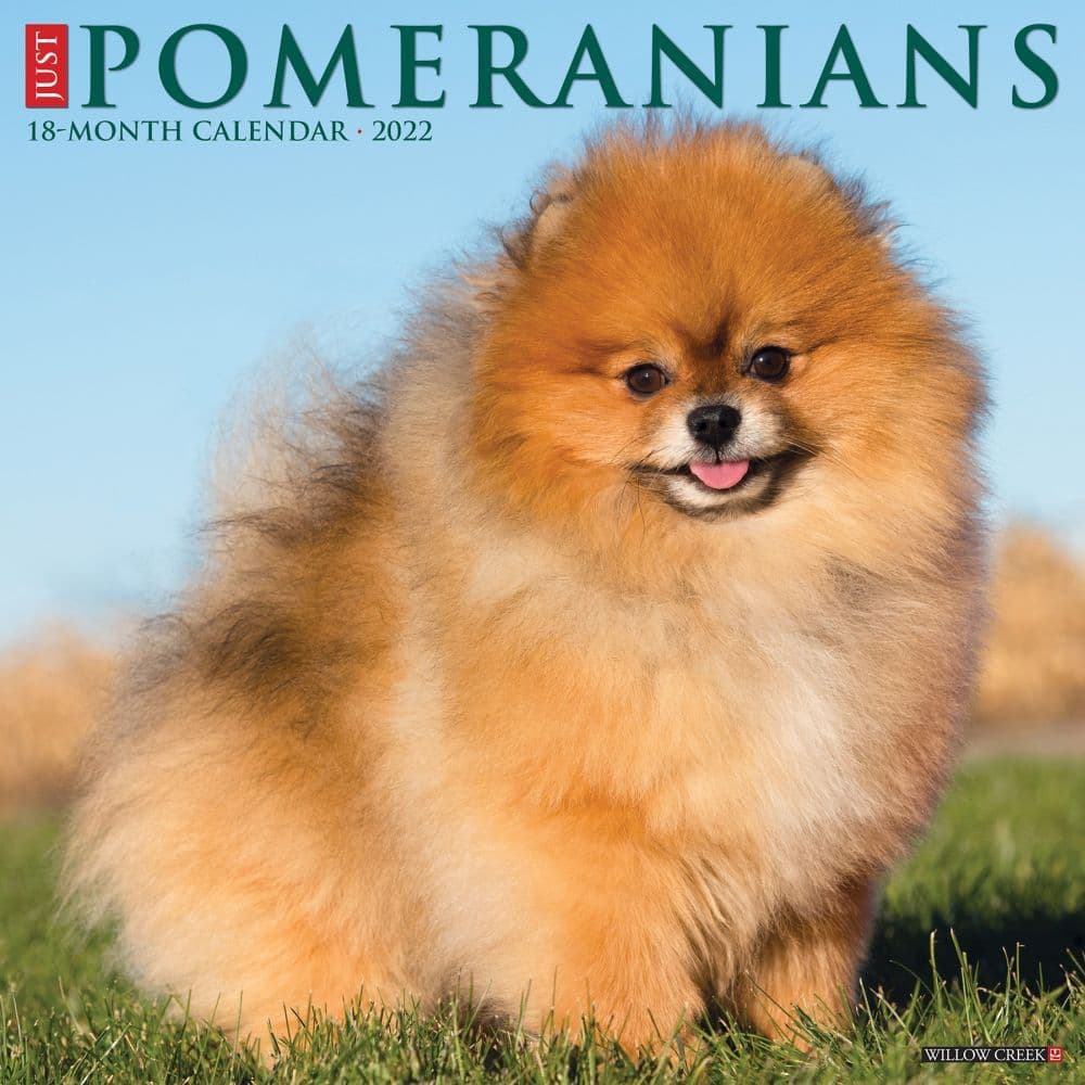 Pomeranians 2022 Calendars | Dog-Calendars.com