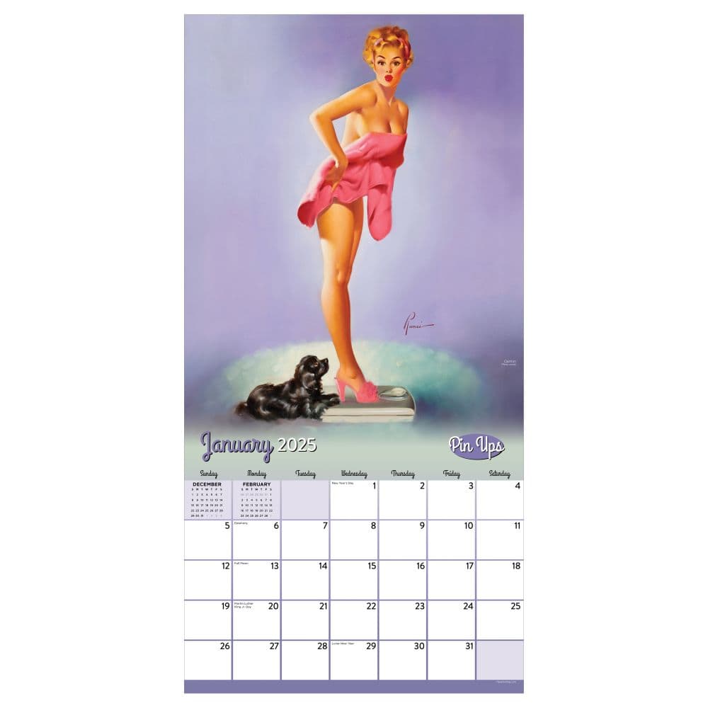 Pin Ups 2025 Wall Calendar Second Alternate Image