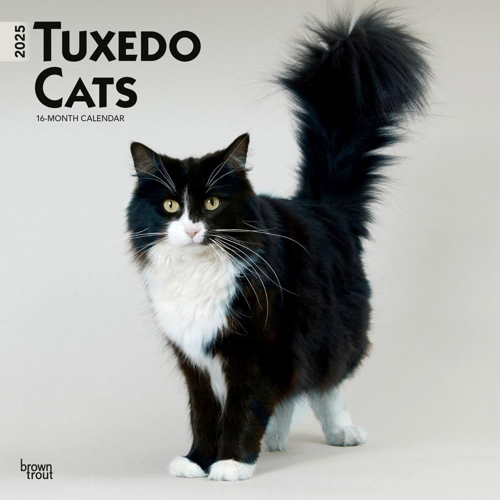 Tuxedo Cats 2025 Wall Calendar