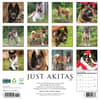 image Just Akitas 2026 Wall Calendar First Alternate Image