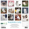 image Ragdoll Cats 2025 Wall Calendar First Alternate Image width=&quot;1000&quot; height=&quot;1000&quot;