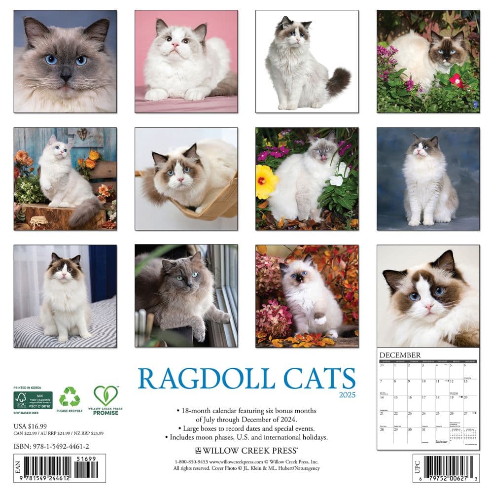 Ragdoll Cats 2025 Wall Calendar First Alternate Image width=&quot;1000&quot; height=&quot;1000&quot;