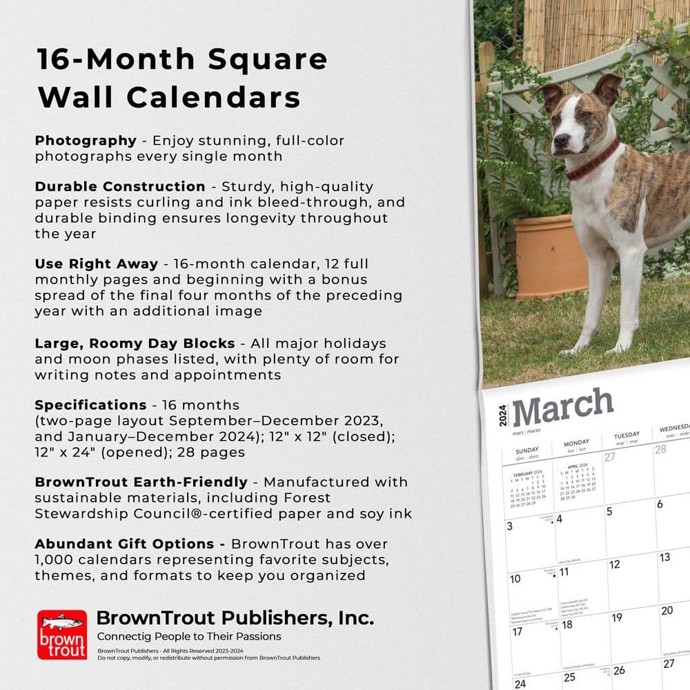 American Staffordshire Terriers 2024 Wall Calendar Fourth Alternate Image width=&quot;1000&quot; height=&quot;1000&quot;
