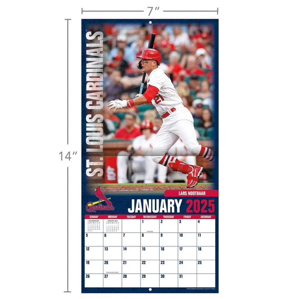 MLB St Louis Cardinals 2025 Mini Wall Calendar Sixth Alternate Image