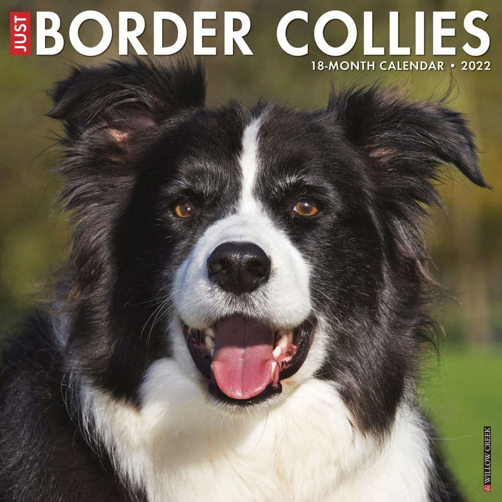 Just Border Collies 2022 Wall Calendar