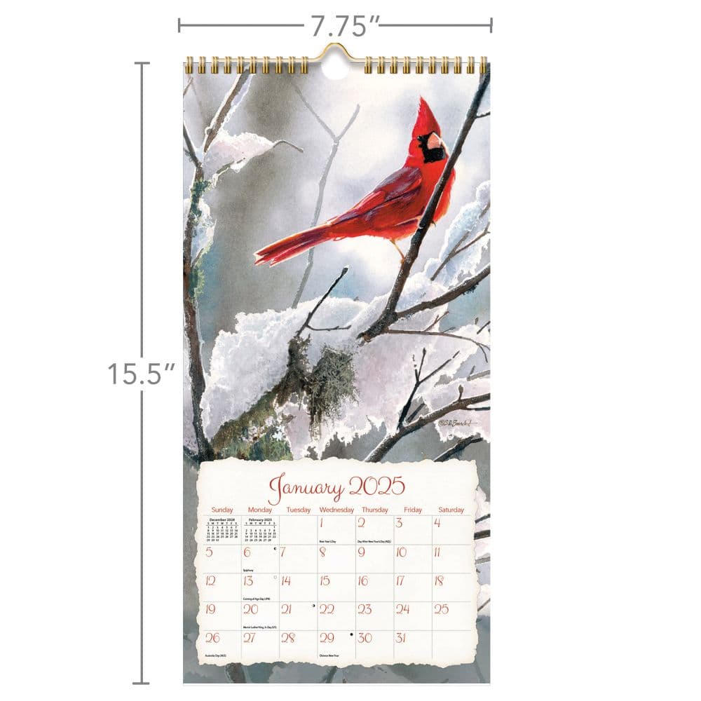 Songbirds 2025 Vertical Wall Calendar by Susan Bourdet