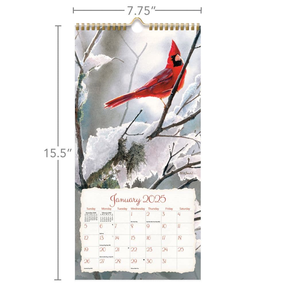 Songbirds 2025 Vertical Wall Calendar by Susan Bourdet_ALT5
