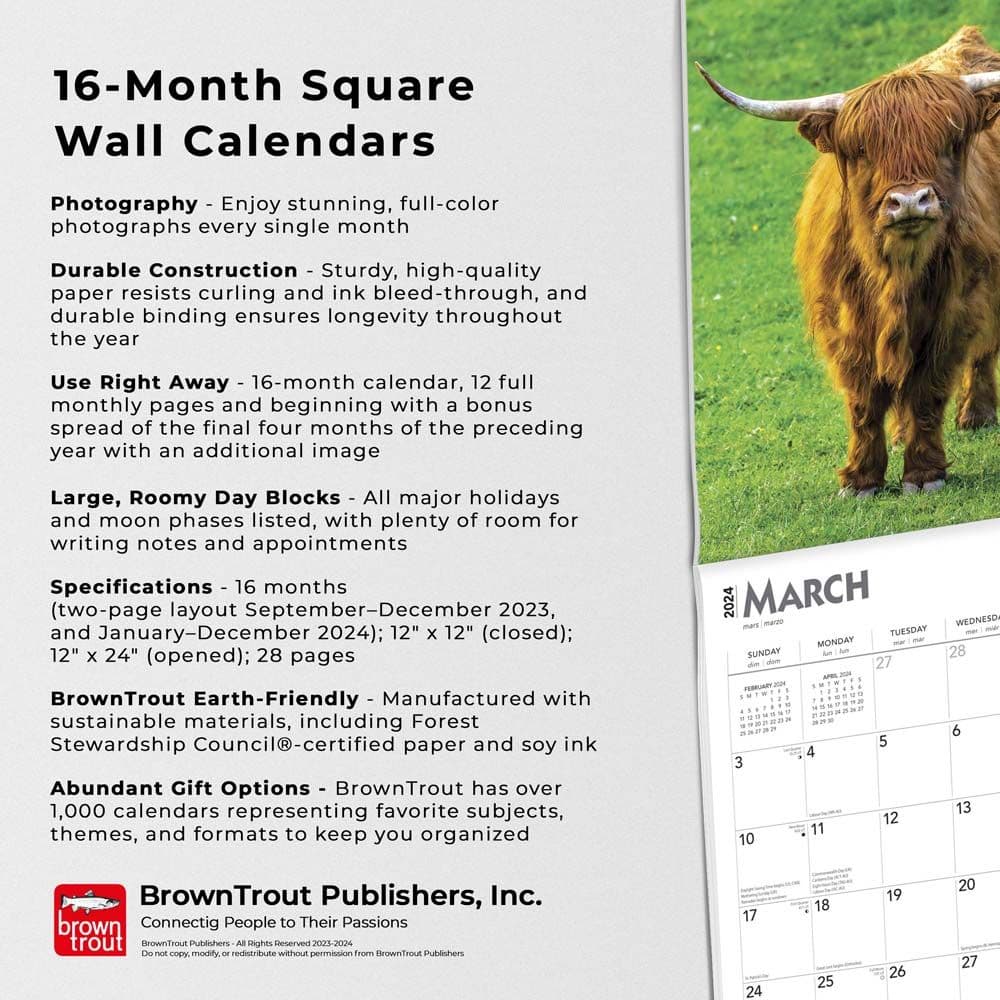 Cows 2024 Wall Calendar