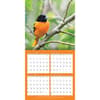image Songbirds Photo 2024 Mini Wall Calendar Third Alternate 
Image width=&quot;1000&quot; height=&quot;1000&quot;