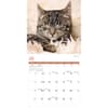 image Cats 2026 Wall Calendar Third Alternate Image