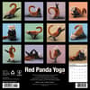 image Red Panda Yoga 2026 Wall Calendar First Alternate Image