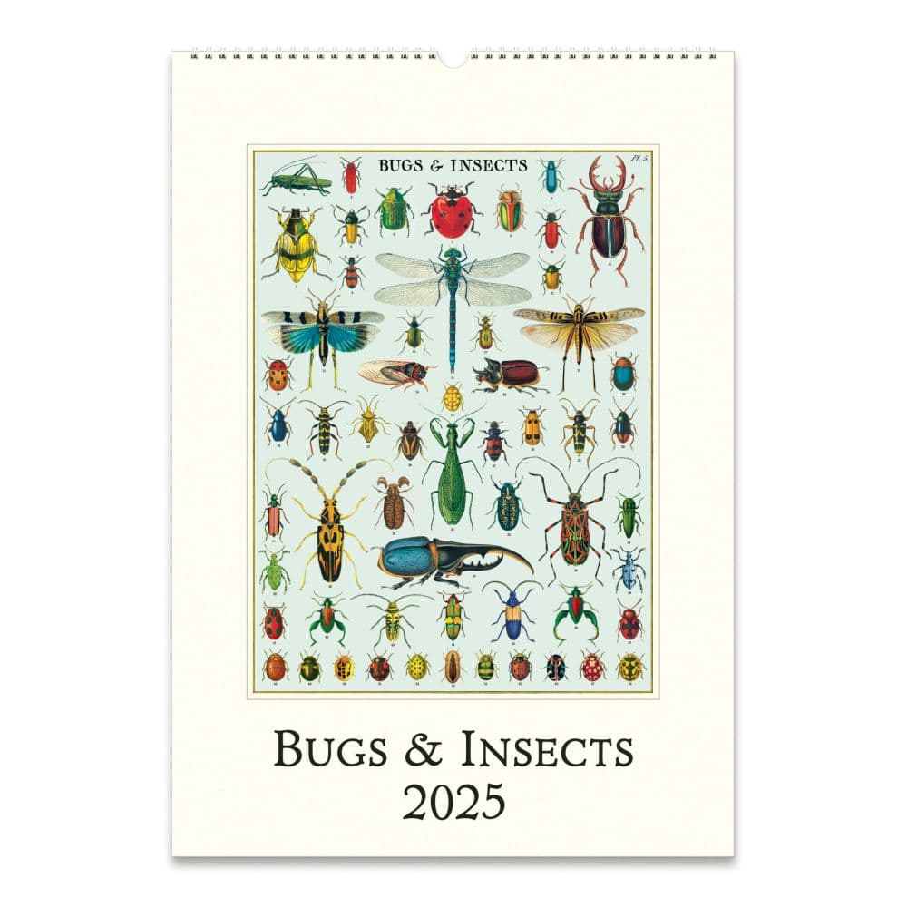 Bugs and Insects 2025 Wall Calendar