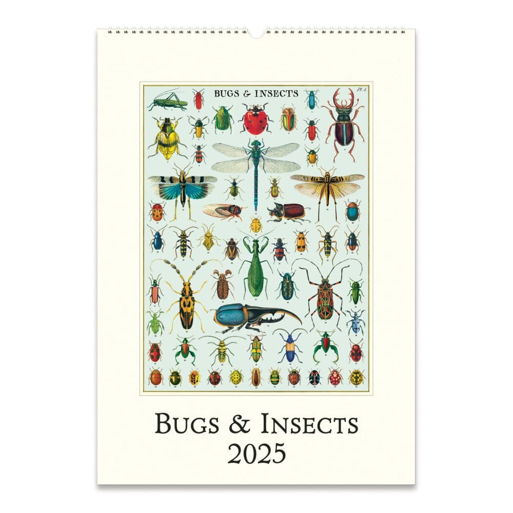 Bugs and Insects 2025 Wall Calendar Main Image