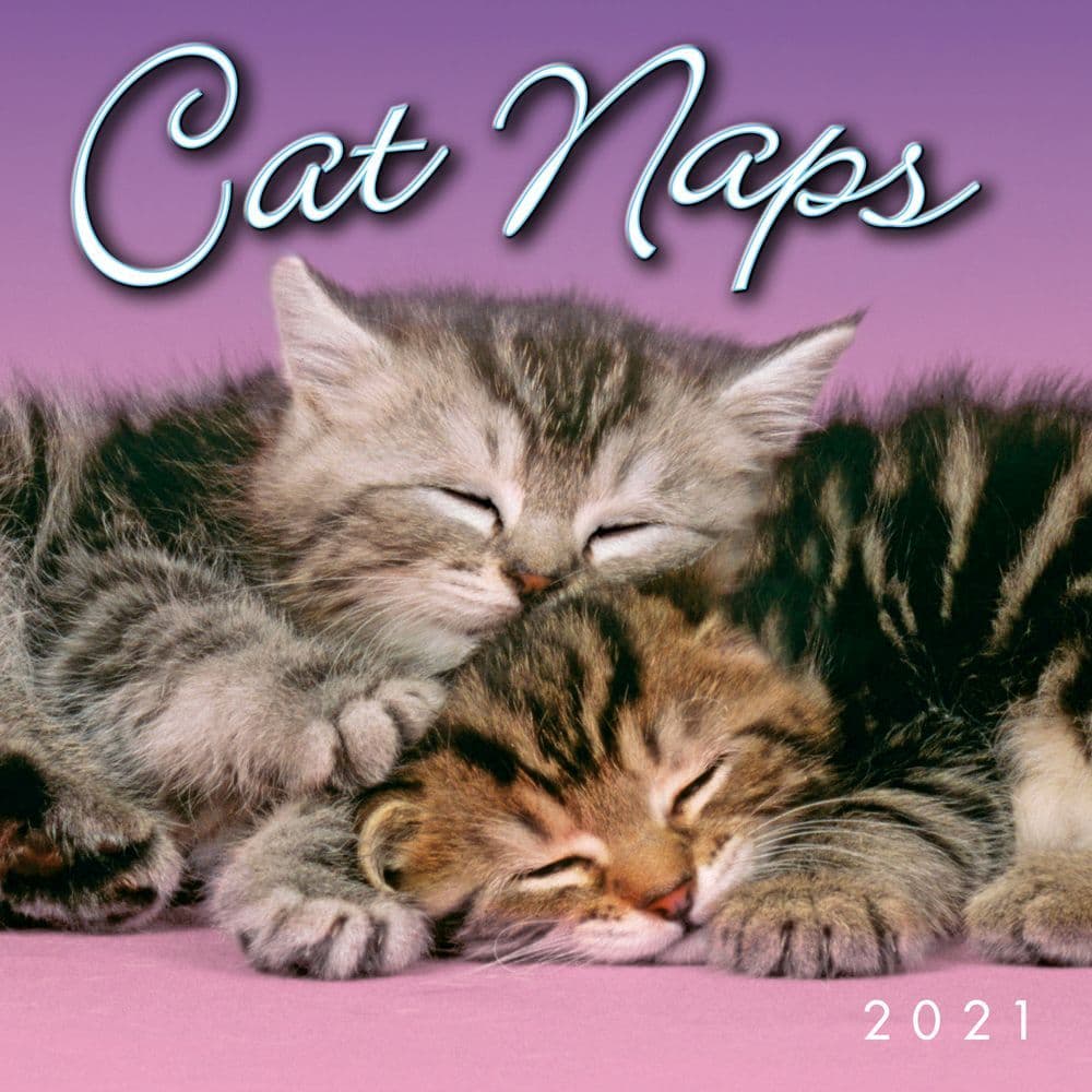 Cat Naps Mini Wall Calendar