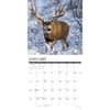 image Mule Deer 2026 Wall Calendar Second Alternate Image