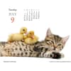 image Kittens &amp; Friends 2024 Desk Calendar Fourth Alternate Image width=&quot;1000&quot; height=&quot;1000&quot;