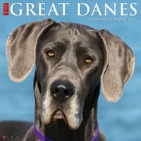 image Just Great Danes 2026 Wall Calendar Main Image