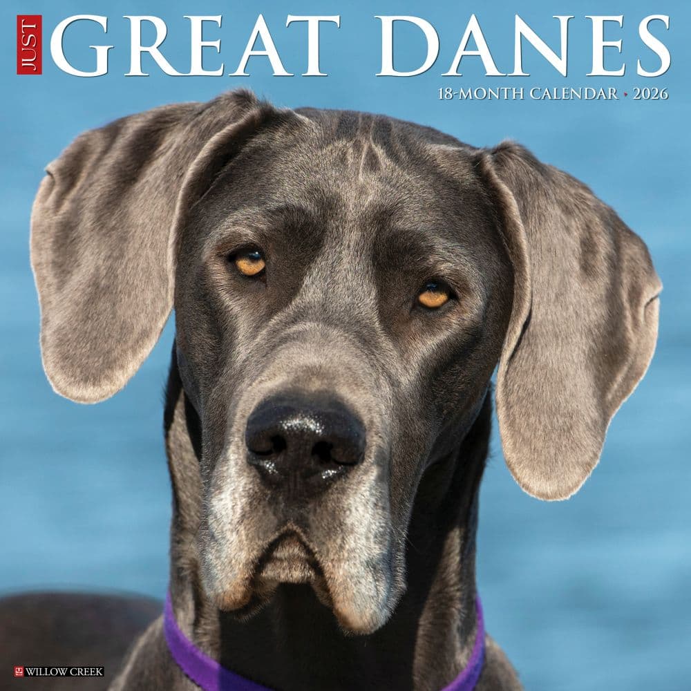 Just Great Danes 2026 Wall Calendar Main Image