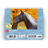 image Horse Lovers 2024 Desk Calendar First Alternate  Image width=&quot;1000&quot; height=&quot;1000&quot;