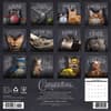 image Catspirations 2026 Wall Calendar First Alternate Image