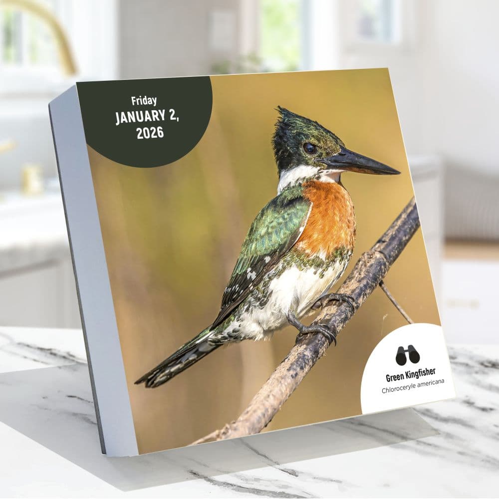 Birds Backyard And Beyond 2026 Desk Calendar Second Alternate Image