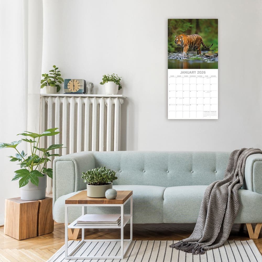 Tigers 2026 Wall Calendar Second Alternate Image
