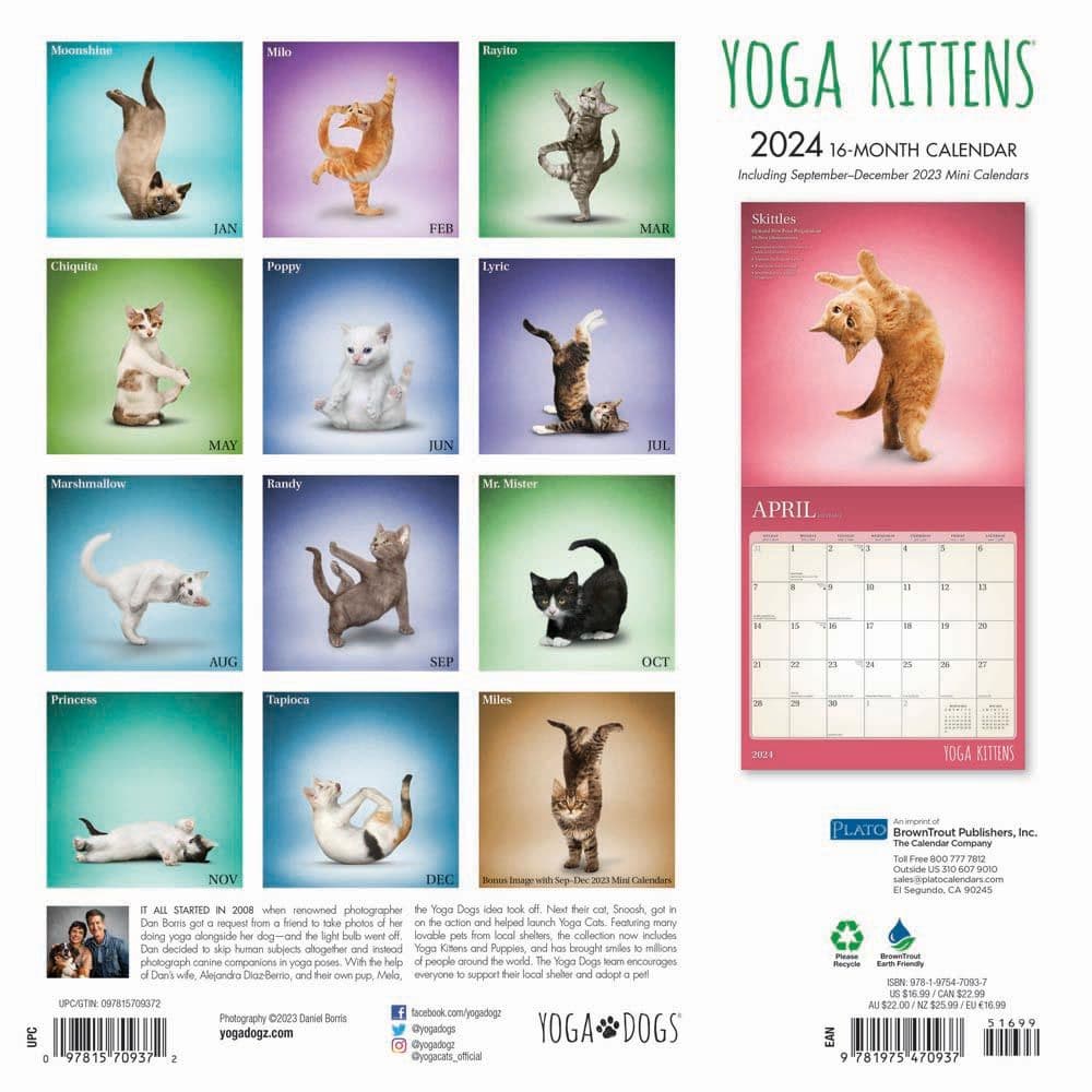 Yoga Kittens 2024 Wall Calendar First Alternate Image width=&quot;1000&quot; height=&quot;1000&quot;